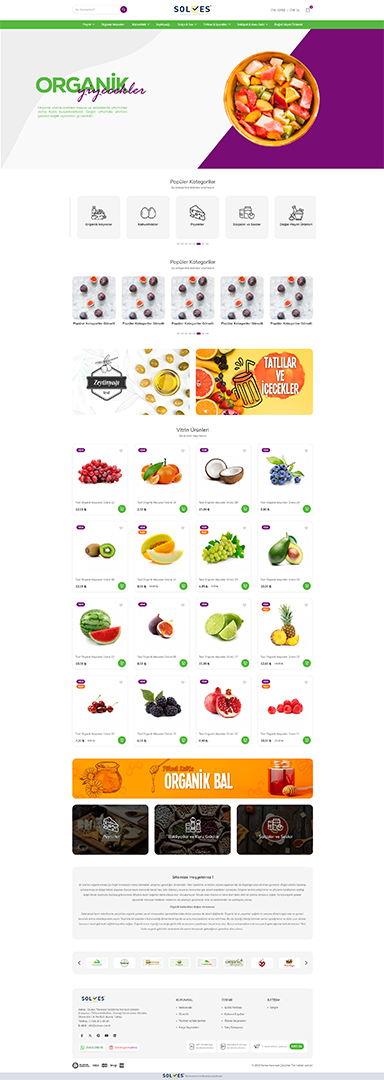 Tema 06 e-ticaret tasarımı